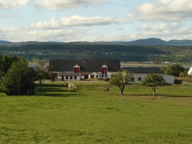 l'Ile d'Orl&eacute;ans